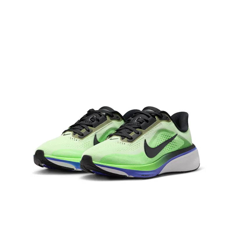 Nike Pegasus Volt Tint/Sapphire/Lime Blast/Black Spruce (IH2306-700)