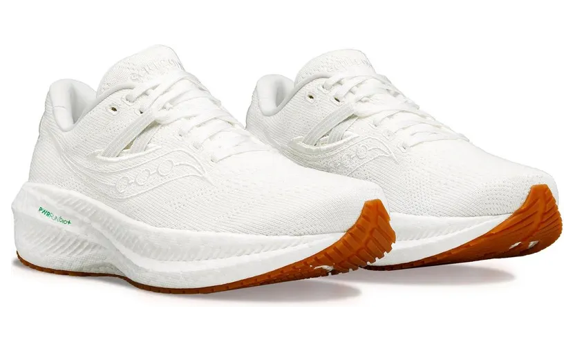 saucony-triumph S20761-100