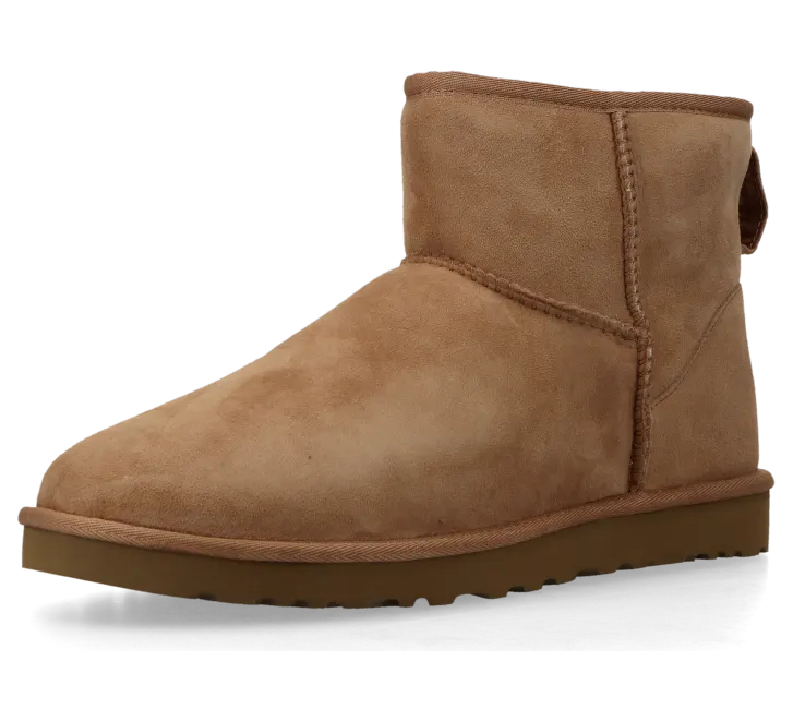ugg-classic-mini 1002072-CHE