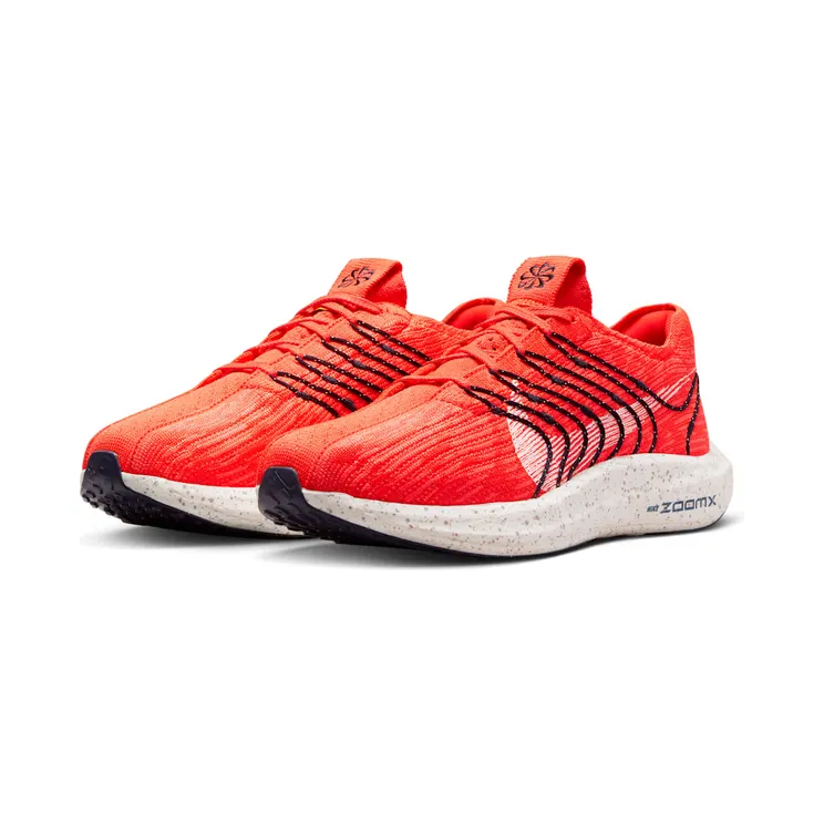 nike-air-pegasus DM3413-600