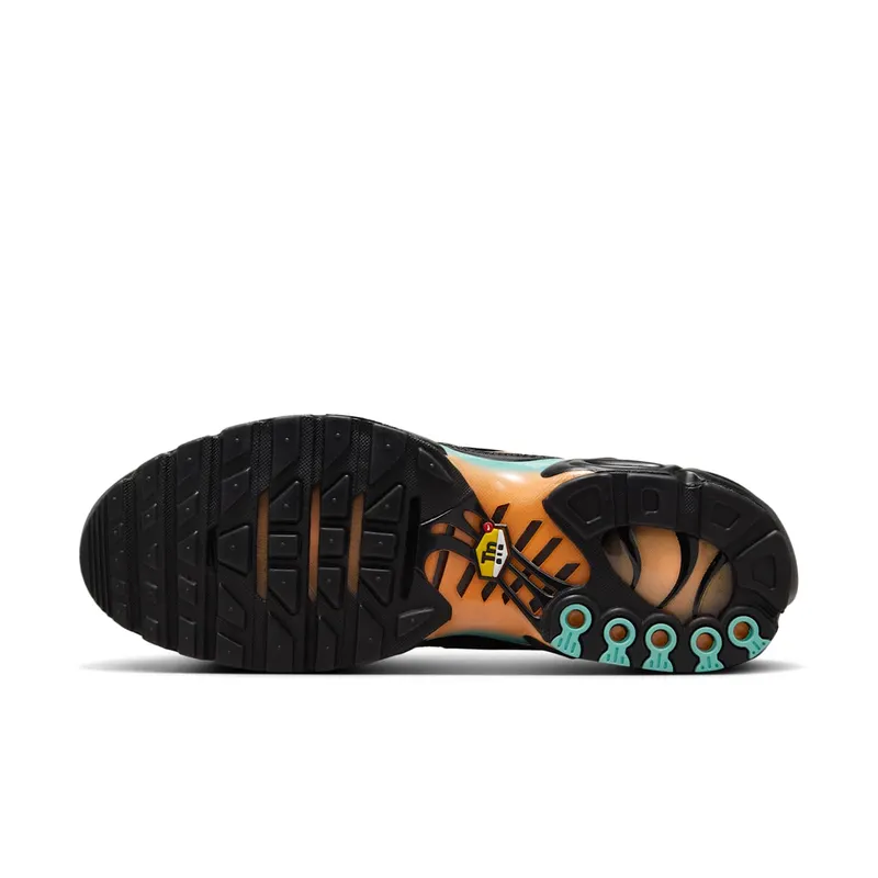 Nike Air Max Plus “South Beach” (DM0032-022)