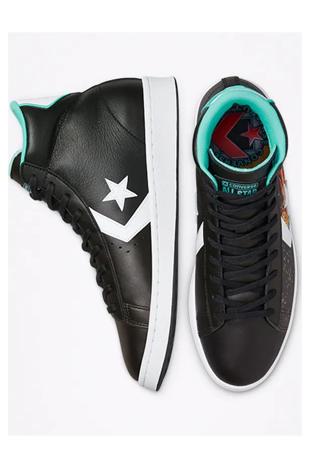 converse-pro-leather 171313C