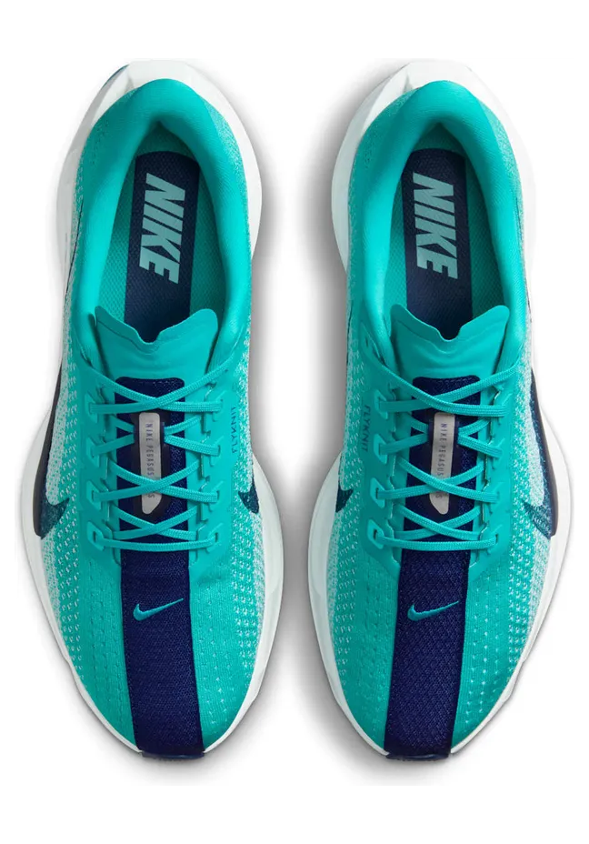 nike-air-pegasus FQ7262-301