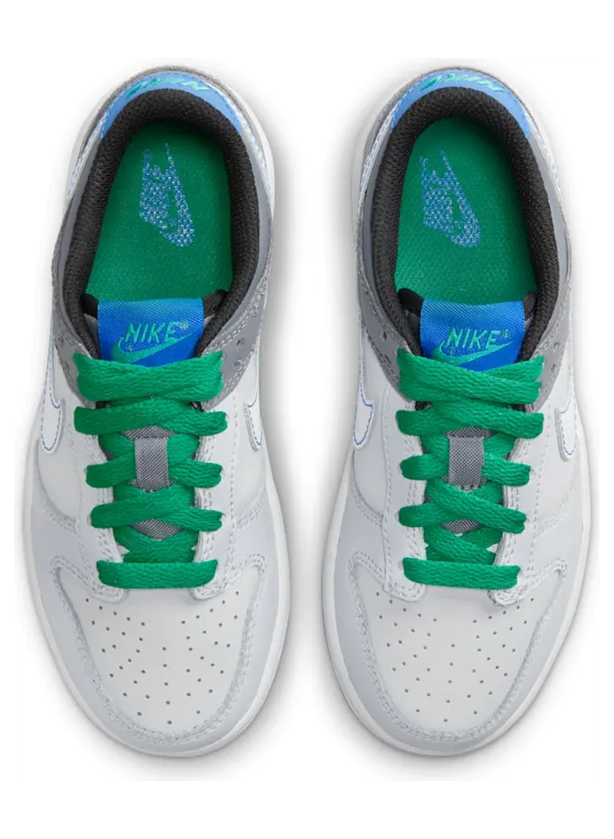 nike-dunk DH9756-004