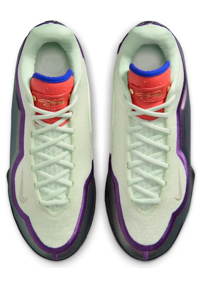 nike-lebron IH1513-700