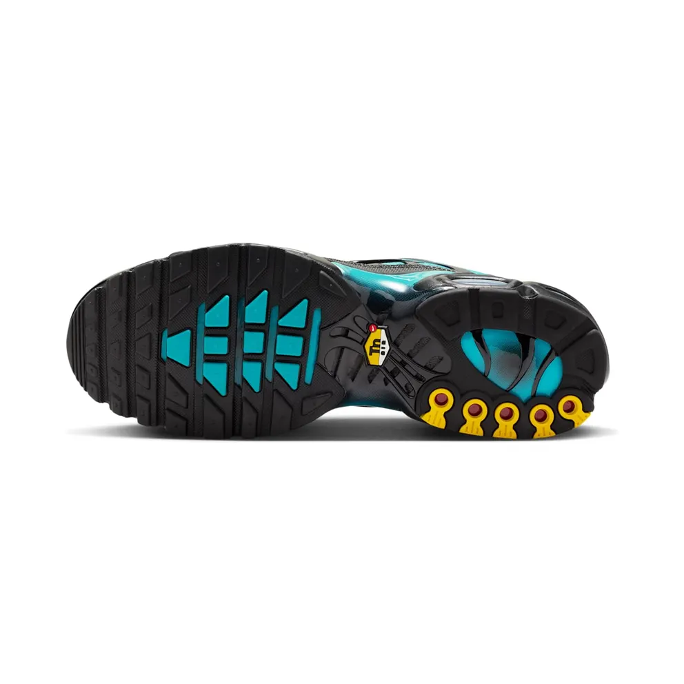 Nike Air Max Plus Black Dusty Cactus (DM0032-016)