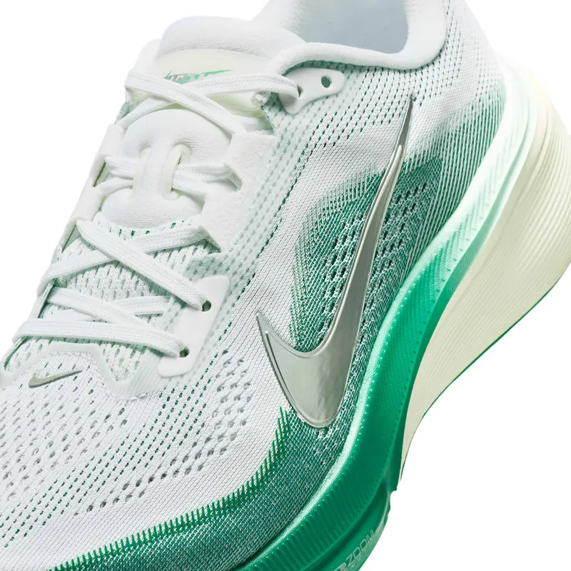 Nike Pegasus White/Malachite/Barely Green/Metallic Silver (IB1881-100)