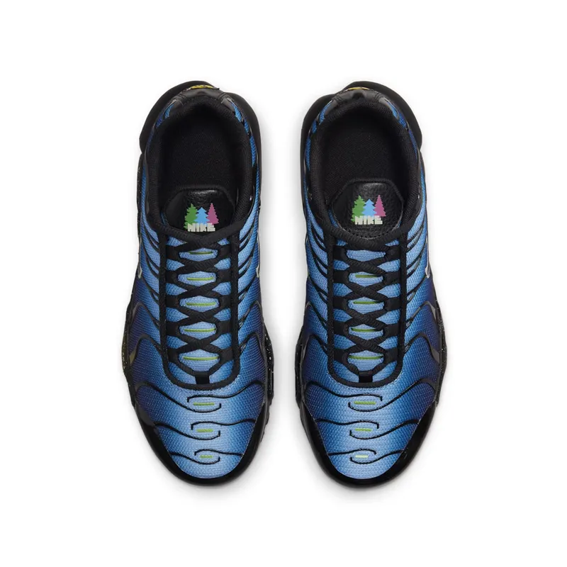 Nike Air Max Plusen Black (DV3484-001)