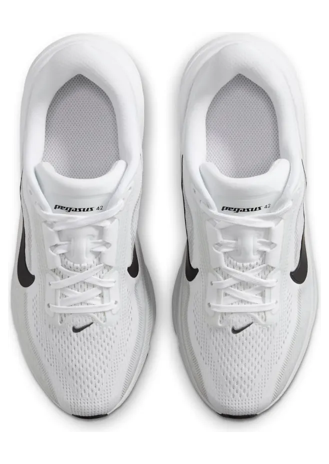 nike-air-pegasus IH2306-101