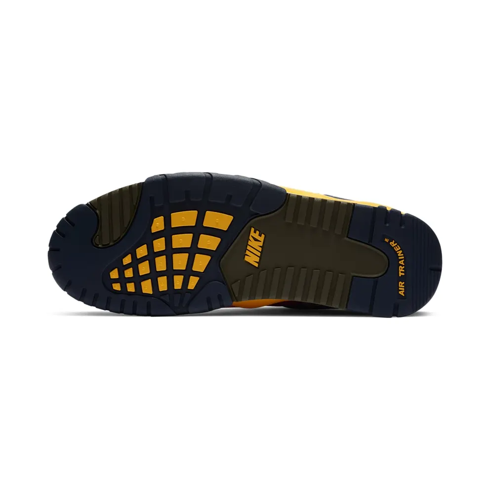 Nike Air Trainer 3 Viotech (2020) Viotech/Dandelion-Purple-Grey Slate (CZ6393-500)