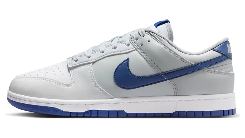 Nike Dunk Low HF5441-118