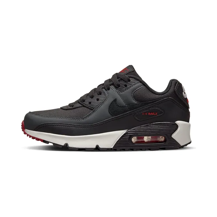 Nike Air Max 90 LTR “Anthracite / Team Red / Summit White / Black” (CD6864-022)