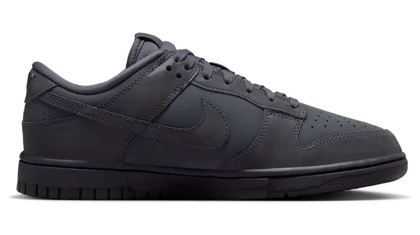 nike-dunk FZ3781-060