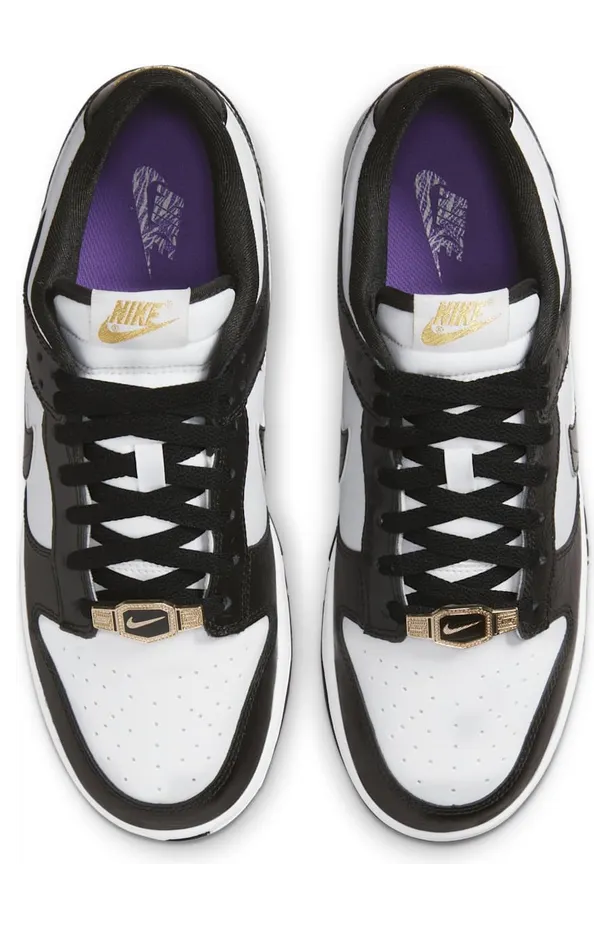 nike-dunk DR9511-100