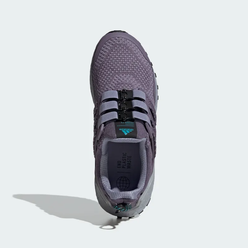 Adidas Ultraboost 1.0 Shadow Violet / Shadow Violet / Silver Violet (IG5344)