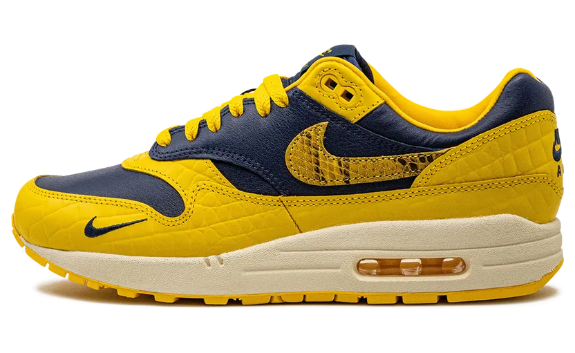 Nike Air Max 1 CO.JP Michigan Head to Head (W) (FJ5479-410)