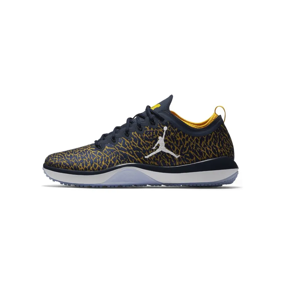 Jordan Trainer 1 Low Michigan (845403-420)