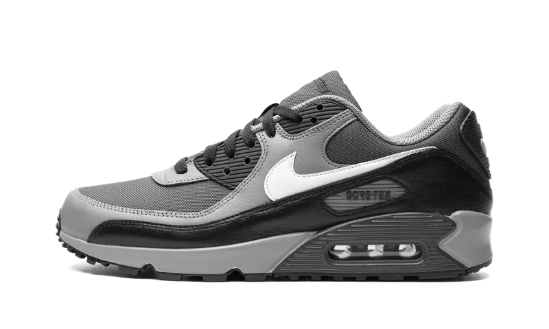 Nike Air Max 90 GORE-TEX “Dark Smoke Grey” (FD5810-002)