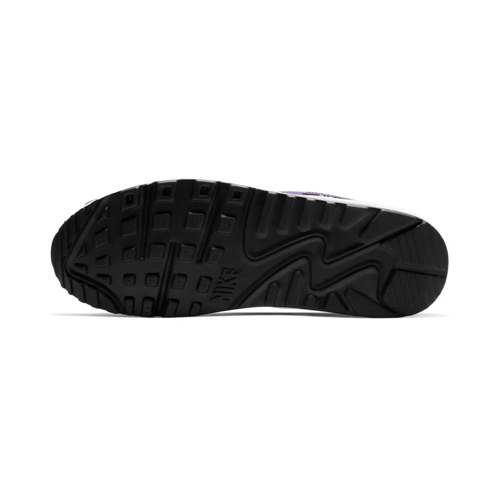 Nike Air Max 90 Grape (2019) (AJ1285-103)