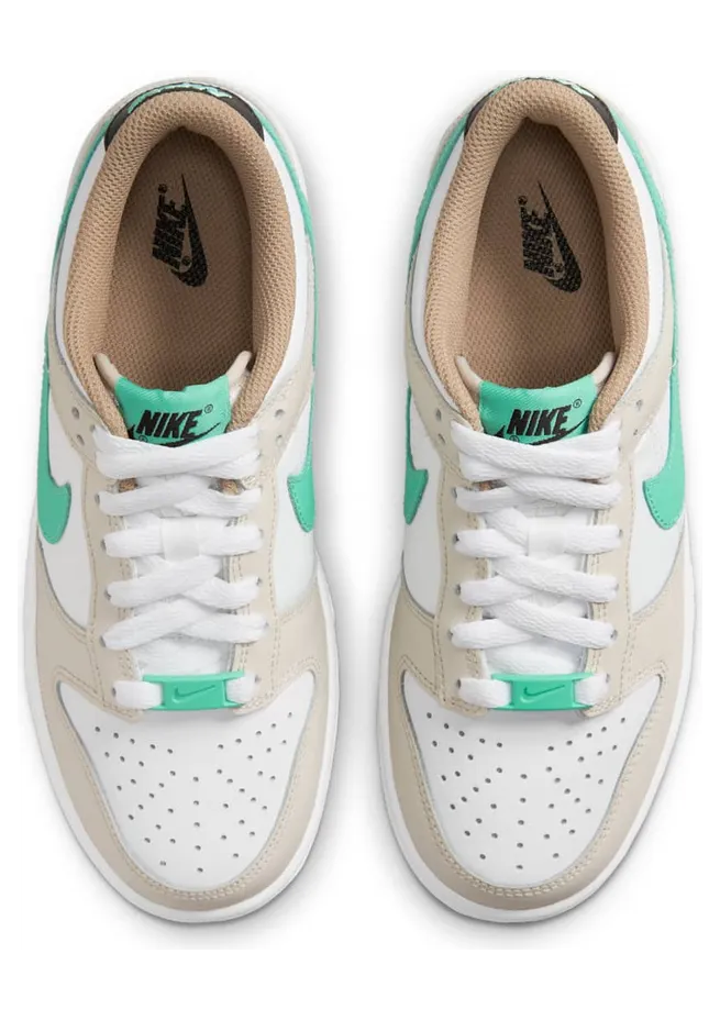 nike-dunk DX6063-131