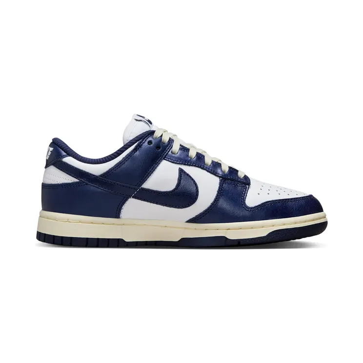 nike-dunk FN7197-100