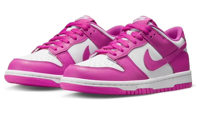 nike-dunk FJ0704-100