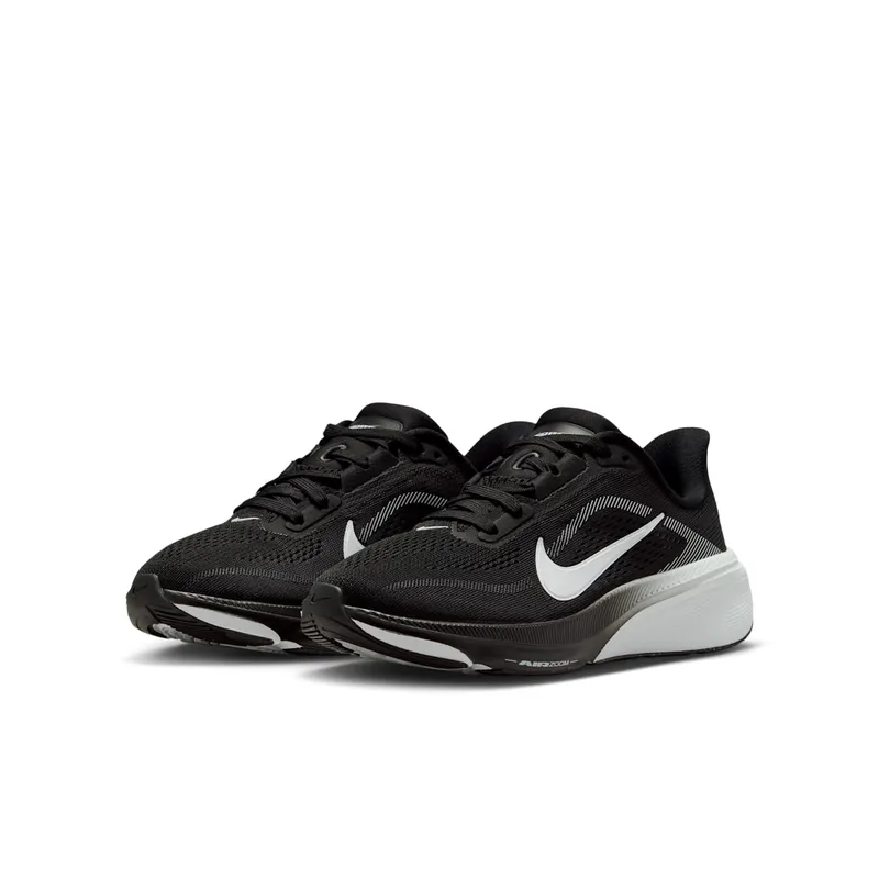Nike Pegasus Black/Photon Dust/White (IH2306-002)