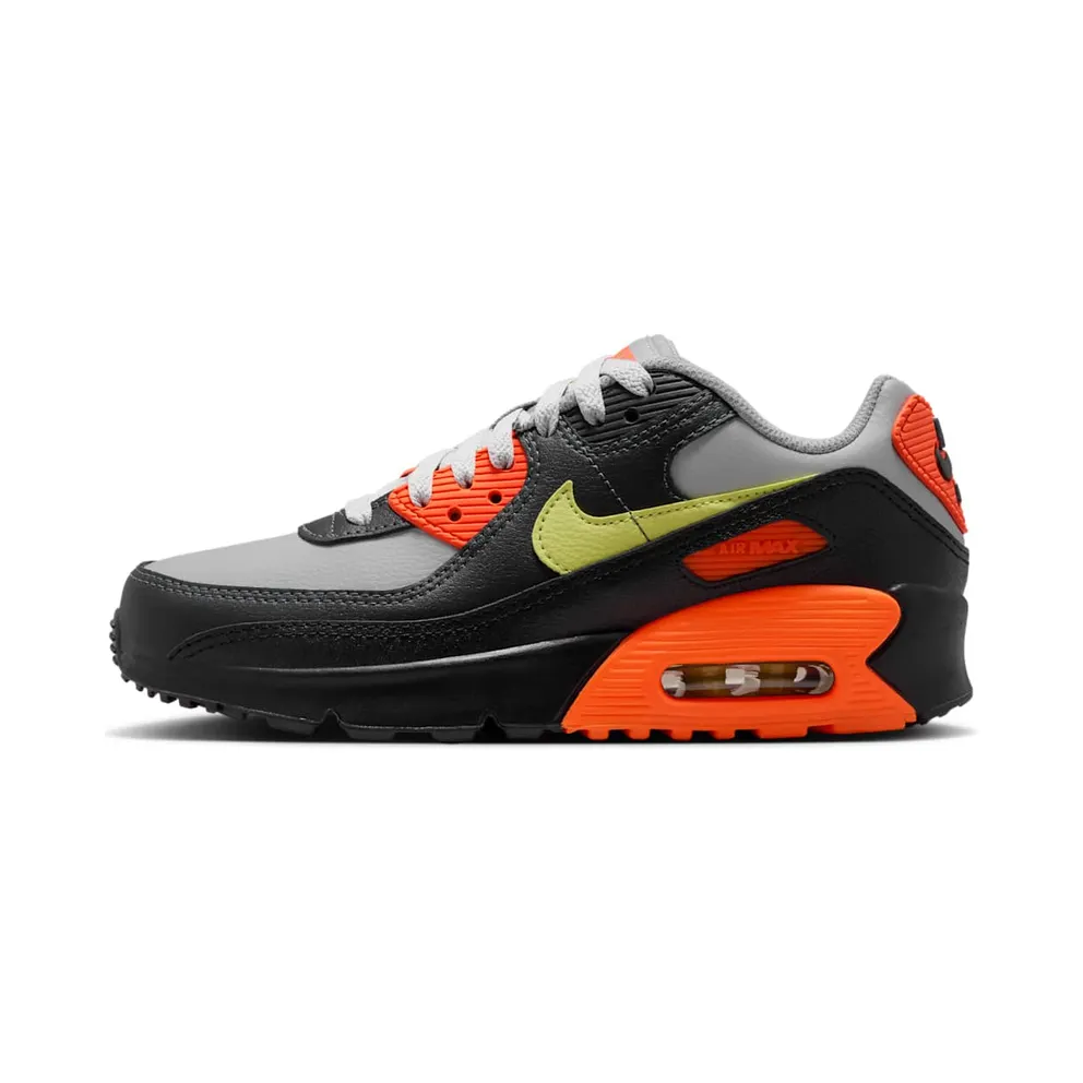 Nike Air Max 90 LTR Light Smoke Grey Hyper Crimson (CD6864-033)