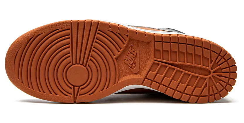 nike-dunk 305287-811