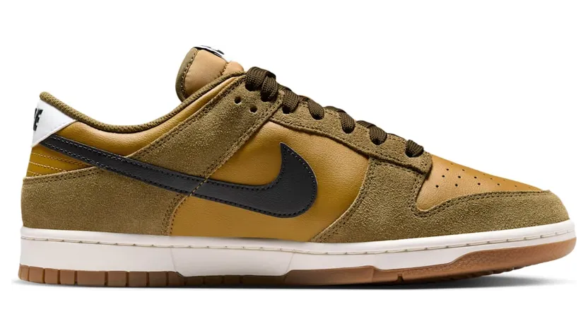 nike-dunk IB6399-300