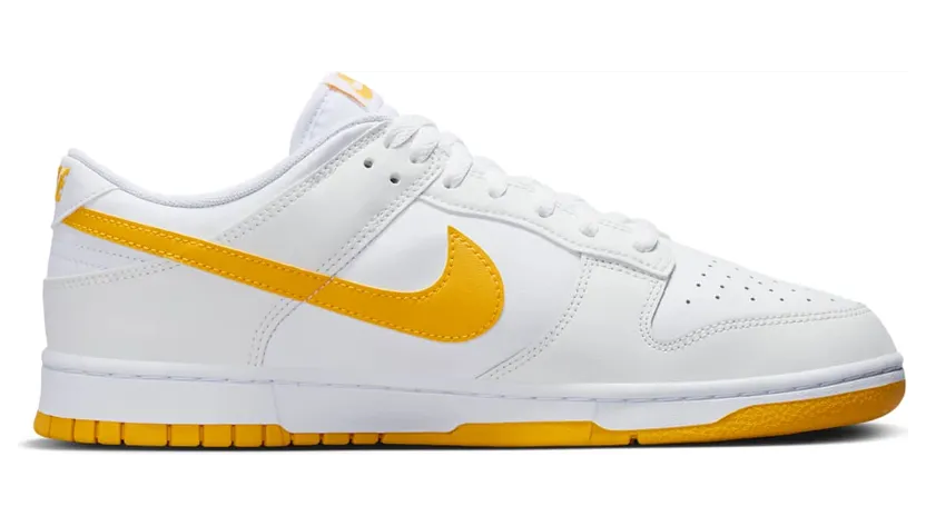 nike-dunk DV0831-110