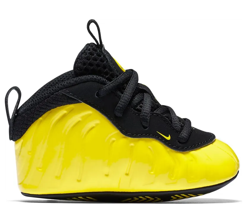 Nike Air Foamposite One Wu-Tang (I) (644790-701)