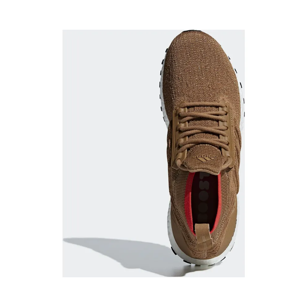 adidas Ultra Boost All Terrain Raw Desert Raw Desert/Core Black/Cloud White (CM8258)