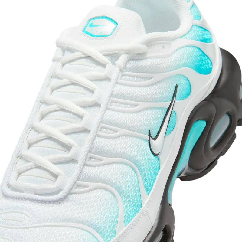Nike Air Max Plus Dusty Cactus/Black/White (IU7539-345)