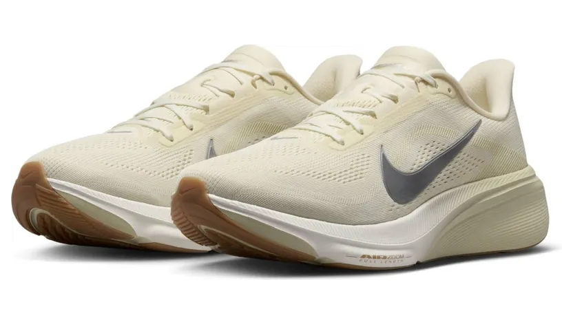 nike-air-pegasus IM8332-100