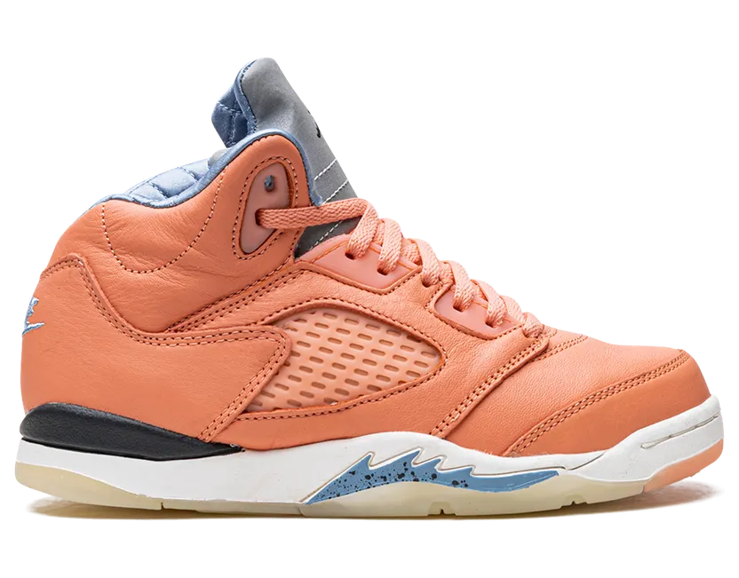 air-jordan-5 DV4980-641