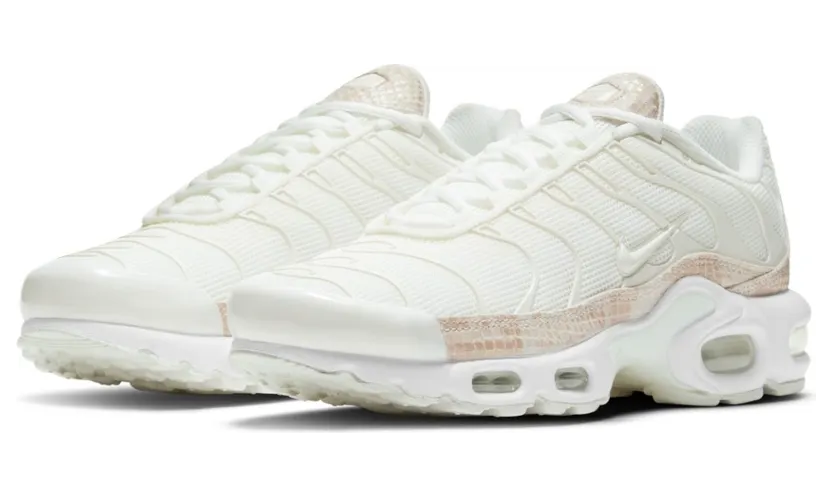 nike-air-max DJ4601-100