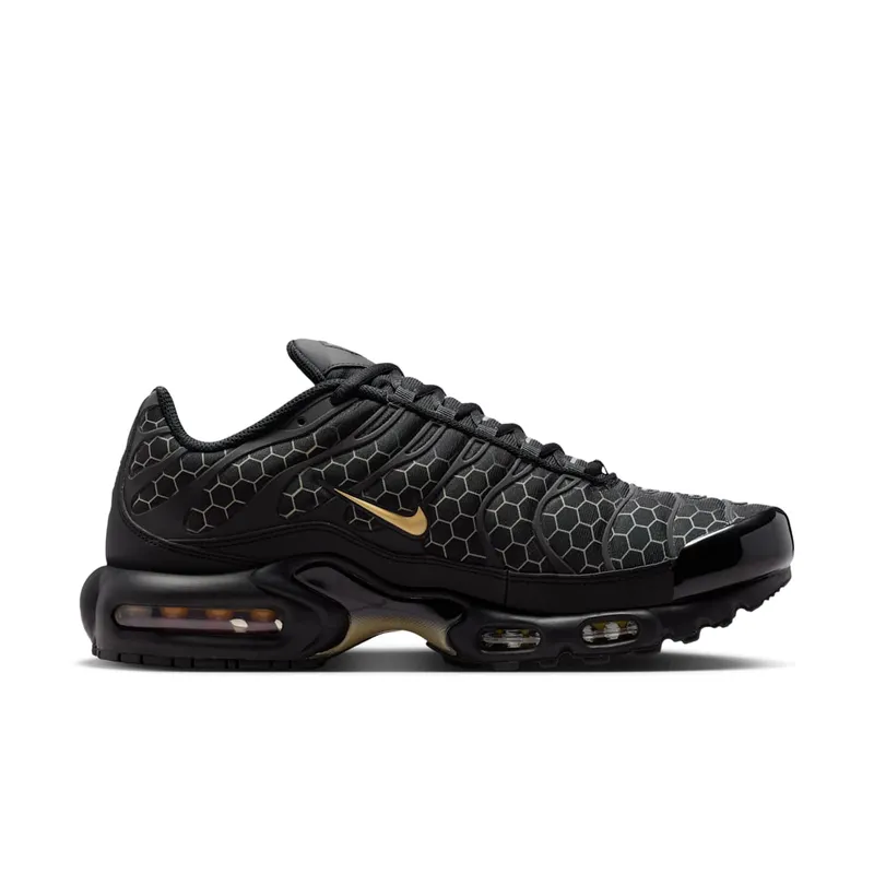 Nike Air Max Plus Black/Chalk/Baroque Brown-Linen (IQ0287-010)