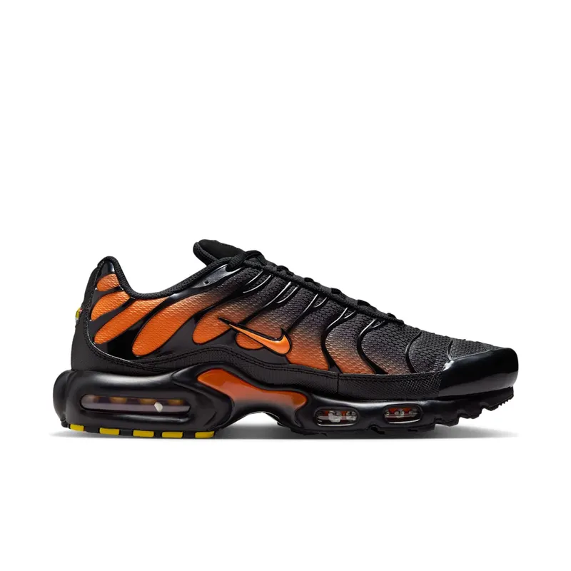 Nike Air Max Plus Black (DM0032-025)
