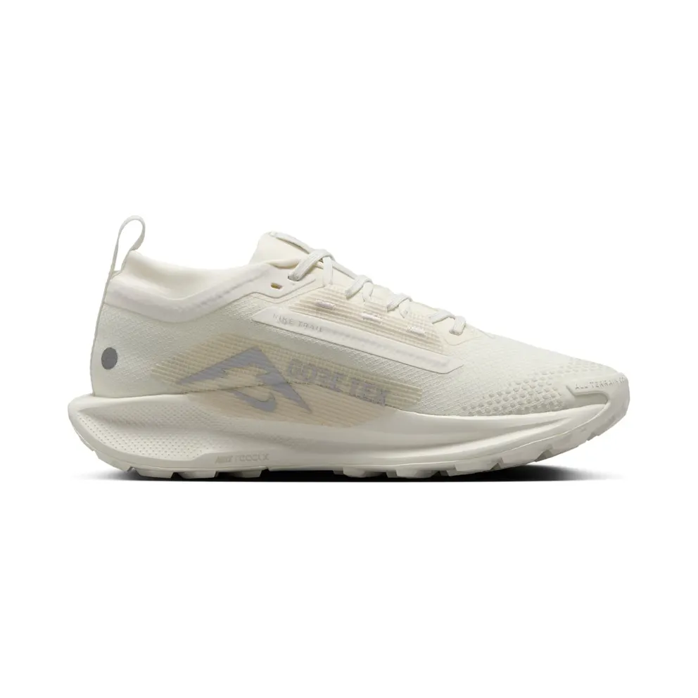 Women's Shoes Nike Pegasus 5 Gore-tex FQ0912-102