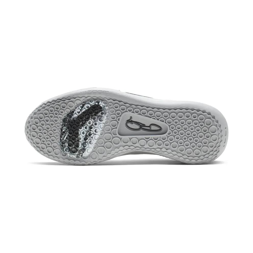 Nike PG 3 NASA 50th Reflect Silver/Reflect Silver (CI2666-001)