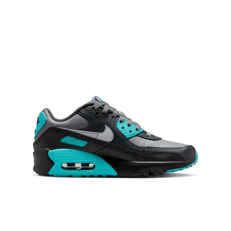 Nike Air Max 90 LTR Cool Grey Dusty Cactus Black Wolf Grey (CD6864-027)