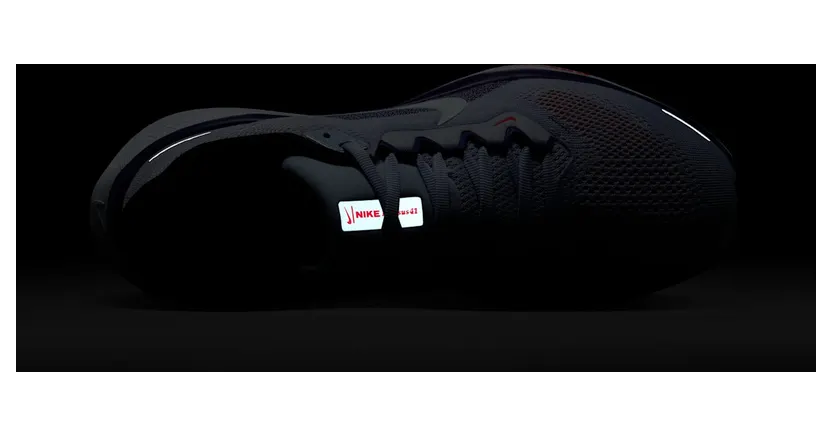 nike-air-pegasus FD2723-013