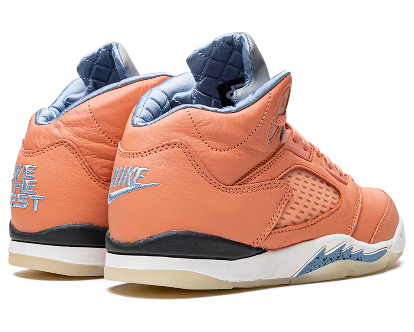 air-jordan-5 DV4980-641