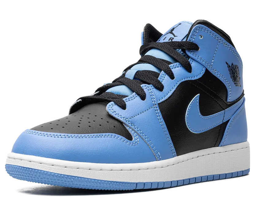 air-jordan-1 DQ8423-401
