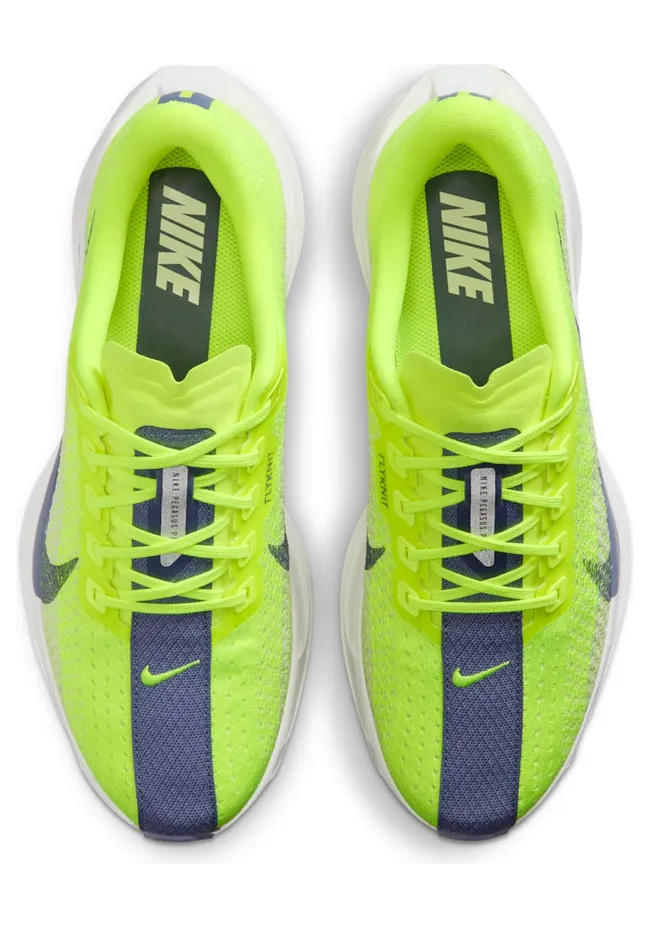 nike-air-pegasus FQ7261-703