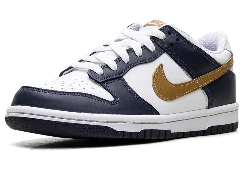 nike-dunk FB9109-111