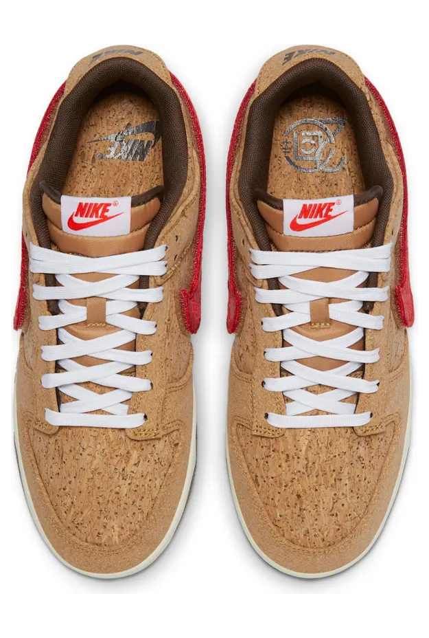 nike-dunk FN0317-121