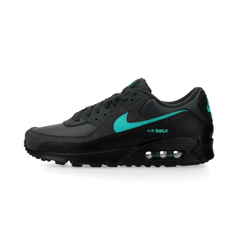 Nike Air Max 90 (dk smoke grey / clear jade ii / black /white) – IF0670-002