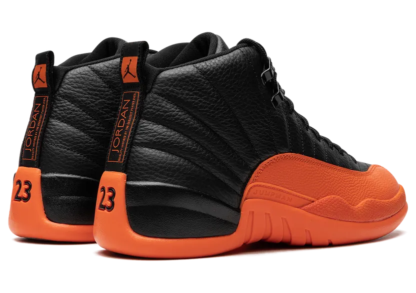 air-jordan-12 FD9101-081